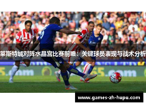莱斯特城对阵水晶宫比赛前瞻:关键球员表现与战术分析 莱斯特城对阵水晶宫比赛前瞻:关键球员表现与战术分析